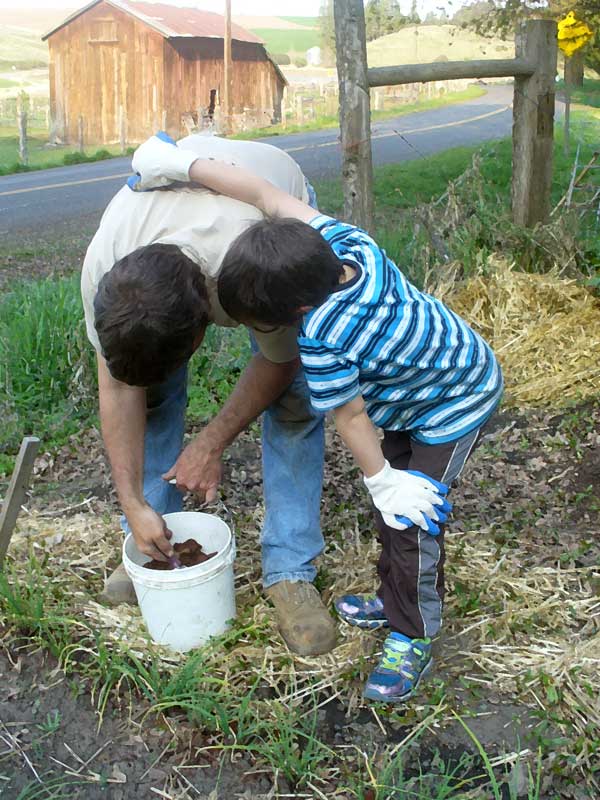 Plow Maker Farms: Steve with Ollie