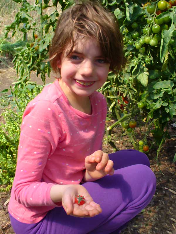 Annabelle holds a small red tomato at Plow Maker Farms