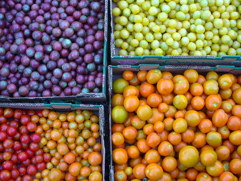Plow Maker Farms: Polka raspberries